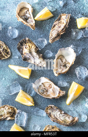 Raw oysters on the gray background Stock Photo