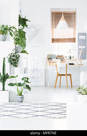 Front view of home office interior with plants, desk, chair, patterned rug and window with blinds Stock Photo