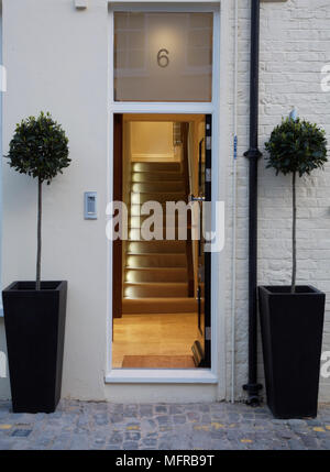 Front door flanked by two potted bay trees with a view through to illuminated staircase Stock Photo