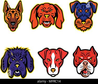 Mascot icon illustration set of heads of working or hunting dogs like the German Shepherd, Hungarian Vizsla, Jagdterrier, Newfoundland Dog, Plummer Te Stock Vector