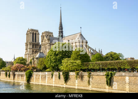 Springtime view of Notre-Dame de Paris cathedral under a blue sky with the river Seine in the foreground and the trees of the John XXIII park. Stock Photo