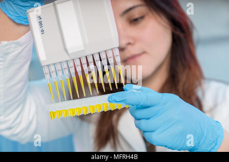 Woman technician with multipipette in genetic laboratory PCR research. Student girl use pipette. Young female scientist loads samples for DNA amplific Stock Photo