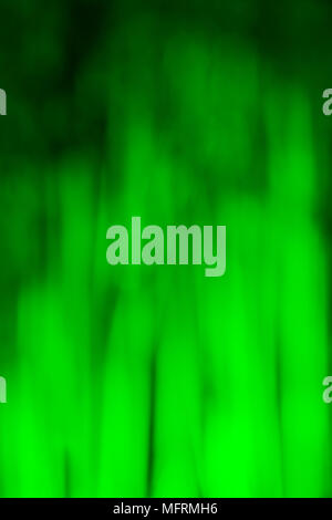 Background image of blurred bamboo grove illuminated by green light in the night closeup Stock Photo