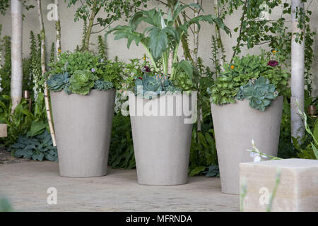 Modern garden planters at the CHELSEA FLOWER SHOW Stock Photo