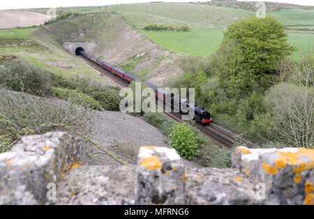 A 1920s Southern Railway 'U' class steam locomotive No. 31806, known as 'Mogul', hauls an excursion train between Dorchester and Weymouth in Dorset, as it makes it's way from Yeovil to Swanage. Stock Photo