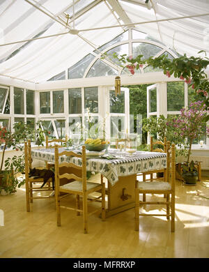 Wooden chairs with table and potted plants arranged in patio outside ...