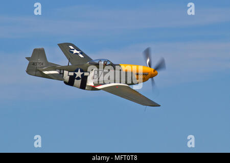 North American P51D Mustang, 'Ferocious Frankie' taking part in a display at Fort George, Scotland. This aircraft has appeared in 'Memphis Belle'. Stock Photo