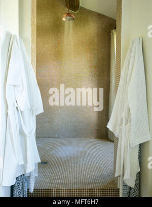 Modern bathroom detail of a shower room with running water, mosaic tile, and bathrobes hanging on hooks. Stock Photo