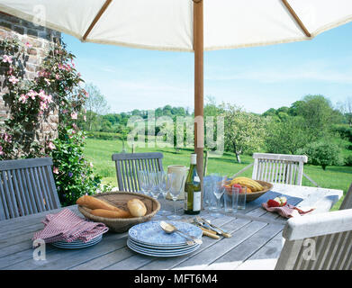 A shady, outdoor dining table and chairs set for entertaining on the lawn.