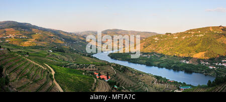 The Douro river and the terraced vineyards of the Port wine in Vila Jusã, Mesão Frio. A Unesco World Heritage site, Portugal Stock Photo