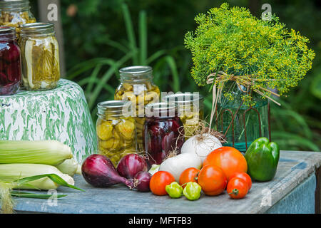 Preserving the bounty of the garden harvest by canning and freezing the produce Stock Photo