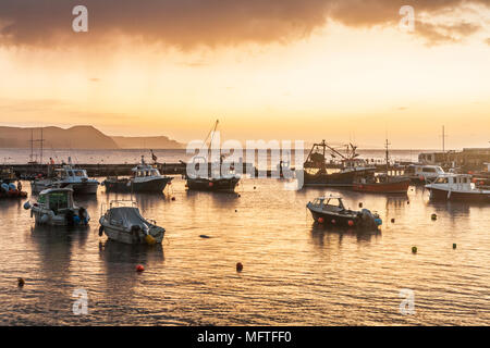 Sunrise over the harbour at Lyme Regis in Dorset, UK. Stock Photo