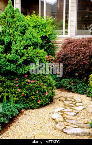 Stone path amidst plantings of Acer palmatum dissectum 'Ever Red', Juniperus horizontalis 'Wiltonii', Picea glauce 'Conica' and Rhododendron satsuki ' Stock Photo