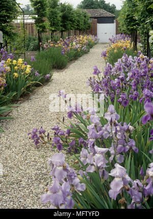 Pebbled garden path leading up past purple and yellow irises to a white wooden gate at The Ham, Wantage, Oxfordshire