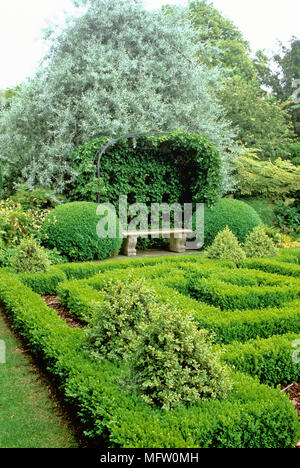Stone bench amongst plantings of Buxus, Hedera and Pyrus Stock Photo