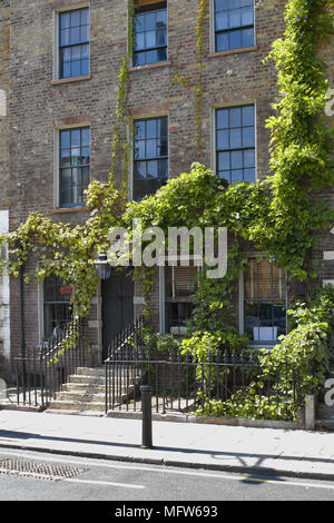 The exterior of a terraced house with metal railings next to steps leading up to the front door and plants covering the walls. Stock Photo