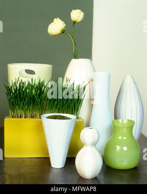 Group of different shaped vases with square pot of wheatgrass and two peonies Stock Photo