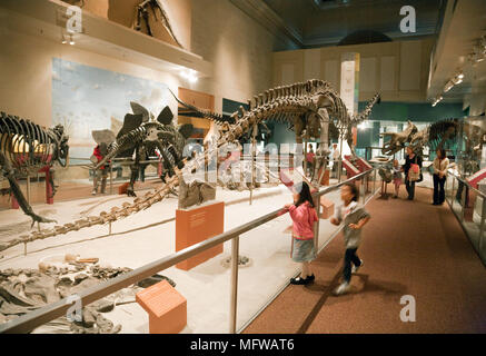 Young children looking at dinosaurs, national Museum of Natural History , Smithsonian Institute, Washington DC, USA Stock Photo