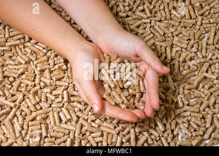 Wood chip cat litter hi-res stock photography and images - Alamy