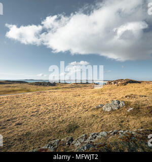 Ynys LLandwyn tidal island of Anglesey in North Wales, UK Stock Photo