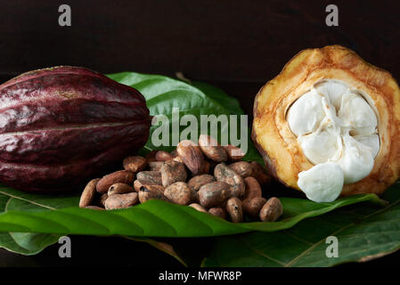 Dry cacao seeds with fresh pods on wooden background Stock Photo