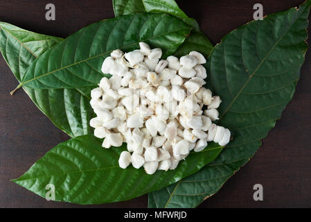White fresh cocoa beans on green plant leaf Stock Photo