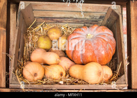 Traditional wooden farmer boxes with friuts and vegetables Stock Photo