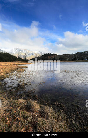 View over Harrop Tarn, Thirlmere, Cumbria, Lake District National Park, England, Uk Stock Photo