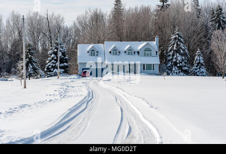 long snow covered driveway with tire tracks lead to a white house, and forest. Stock Photo