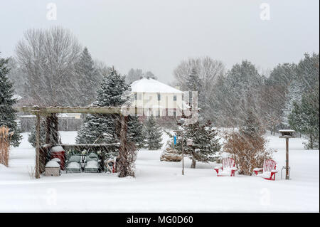 snowstorm in the backyard. Stock Photo