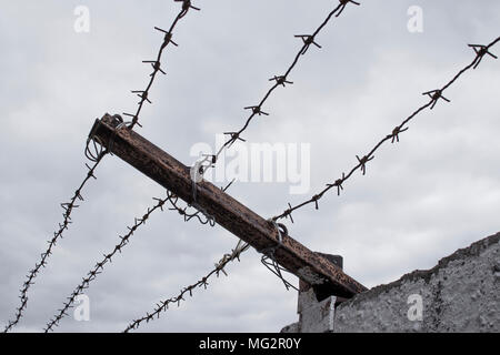 Concrete fence with barbed wire. Freedom, jail, prison, human rights concept. Stock Photo