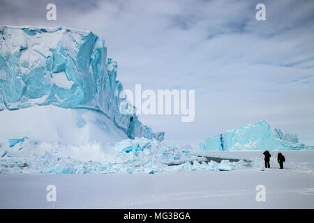 Icebergs frozen into the fjords of Baffin Island, Nunavut, Canada Stock Photo