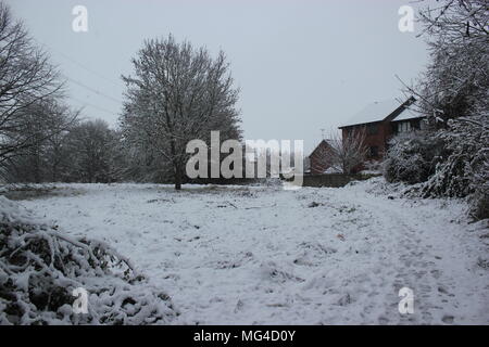 Snow, wintertime, oxfordshire Stock Photo