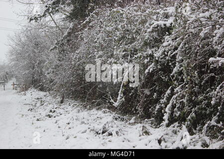 Snow, wintertime, oxfordshire Stock Photo