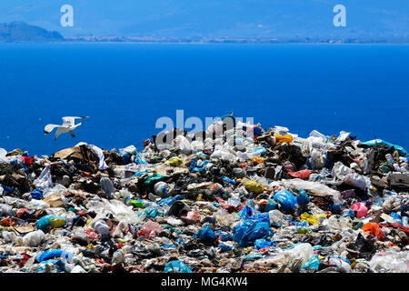 Waste disposal site with seagulls scavenging for food Stock Photo