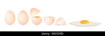 Complete set of eggs: whole, broken and open Stock Vector