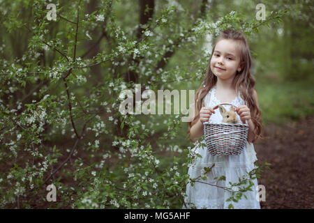 Little girl standing in the woods and holds a basket with a small rabbit. Stock Photo