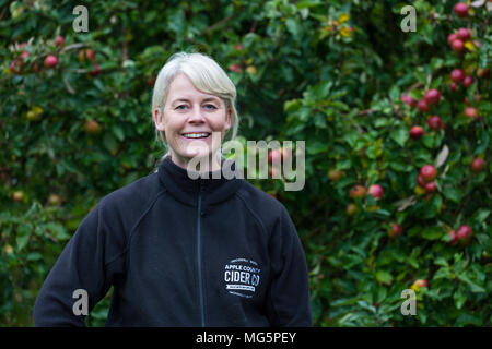 Apple varieties. Apple County Cider Stock Photo