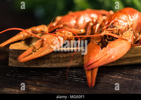Boiled tasty crawfish with dill on rustic wooden background Stock Photo
