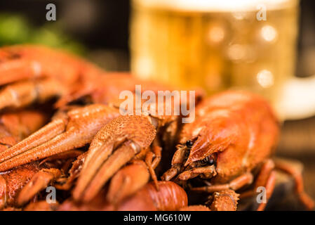Boiled crayfish with dill and cool beer on wooden background Stock Photo