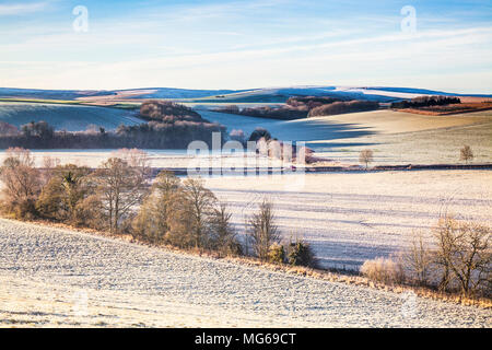 A frosty morning on the Marlborough Downs in Wiltshire. Stock Photo