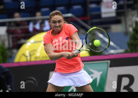 Minsk, Belarus. 21st April, 2018. Aliaksandra Sasnovich (BLR) during a FedCup match against Jana Cepelova (SVK) being played at Chizhovka Arena in Minsk, Belarus Stock Photo
