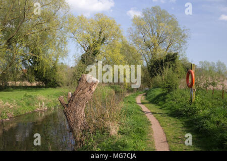 Footpath along The New Reach, Halesworth Millennium Green, Suffolk, England Stock Photo