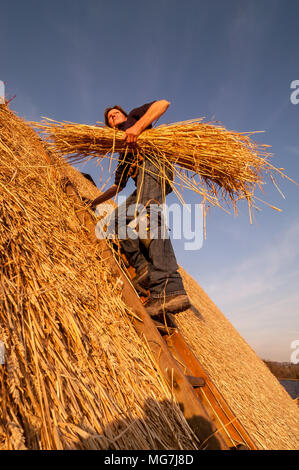 Thatcher re-thatching the roof of Alfriston Clergy House in East Sussex. The house was the first property ever acquired by the National Trust, for which it paid £10, in 1896. The fourteenth-century building was last re-thatched during the 1930s. Stock Photo