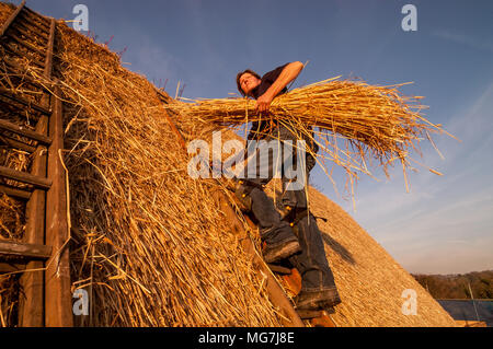 Thatcher re-thatching the roof of Alfriston Clergy House in East Sussex. The house was the first property ever acquired by the National Trust, for which it paid £10, in 1896. The fourteenth-century building was last re-thatched during the 1930s. Stock Photo