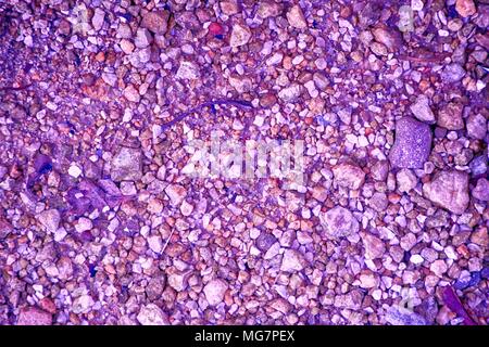 Ultra purple Pebble surface, stone texture or rock backdrop, ground background. Stock Photo