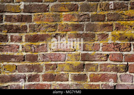 Antique handmade brick wall found in historic Jamestown settlement restoration in Virginia Stock Photo