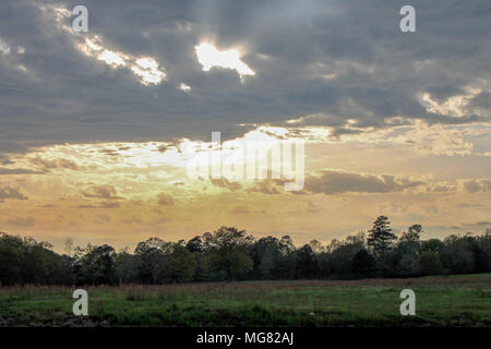 Sunset over the trees Stock Photo