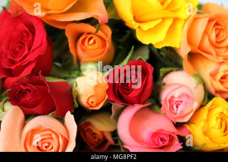 bouquet of multicolored roses flowers for background Stock Photo