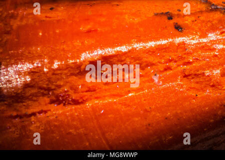 Orange pencil tip under the microscope. Closeup macro photography. Stock Photo